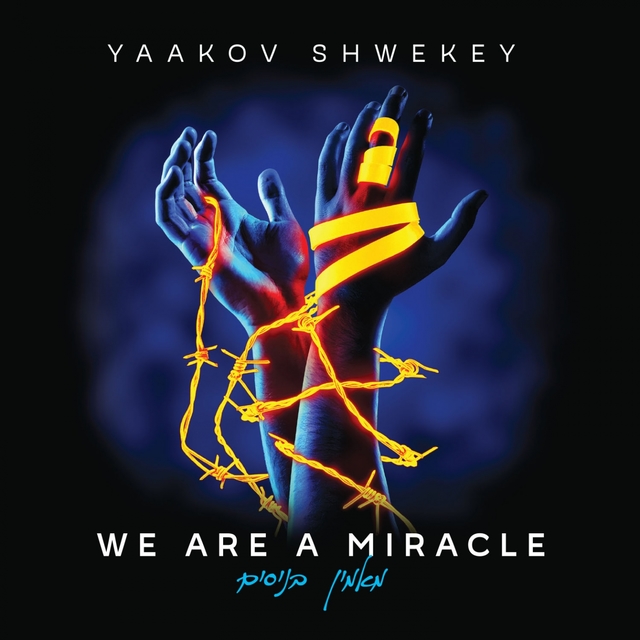 Couverture de We Are a Miracle