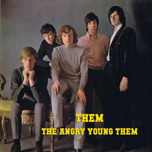 Couverture de The Angry Young Them!