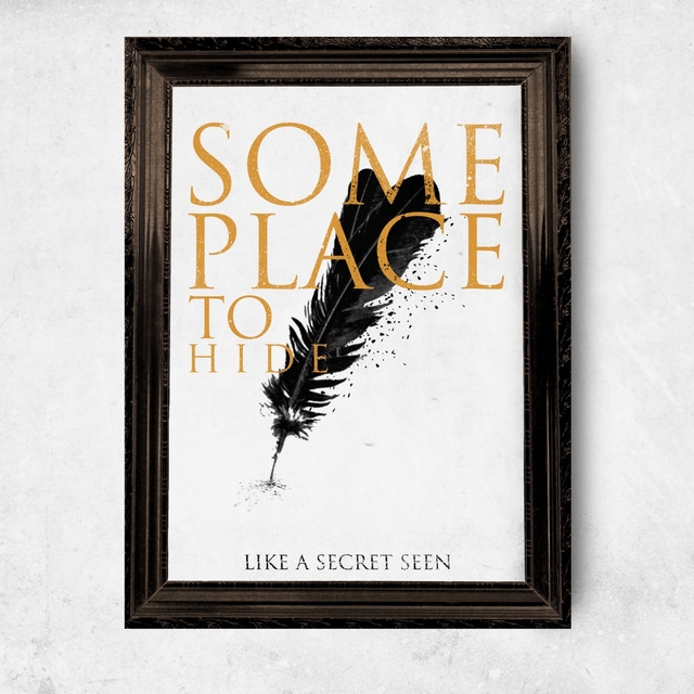 Couverture de Some Place to Hide