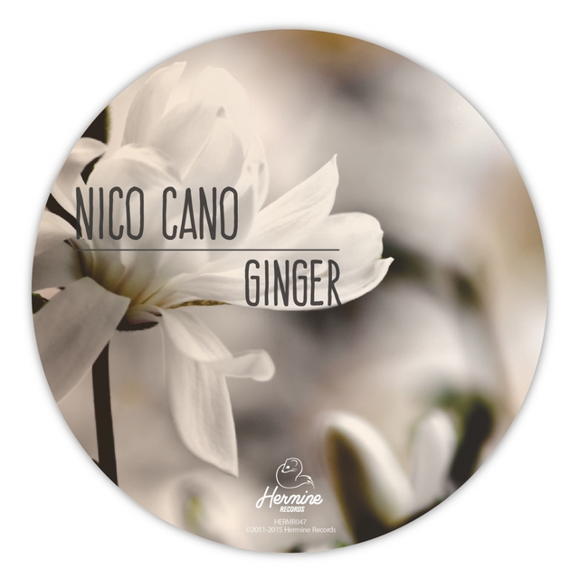 Couverture de Ginger