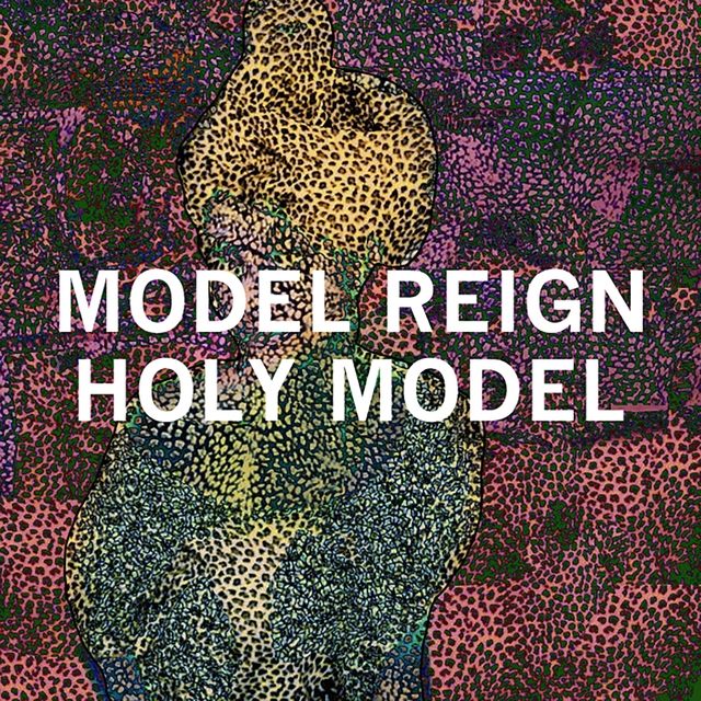 Couverture de Holy Model