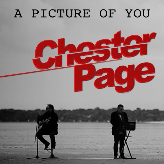 Couverture de A Picture of You