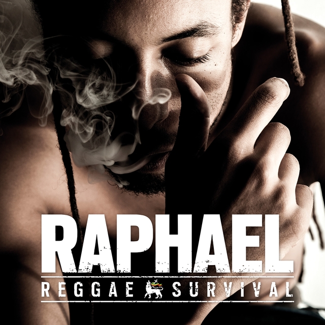 Couverture de Reggae Survival