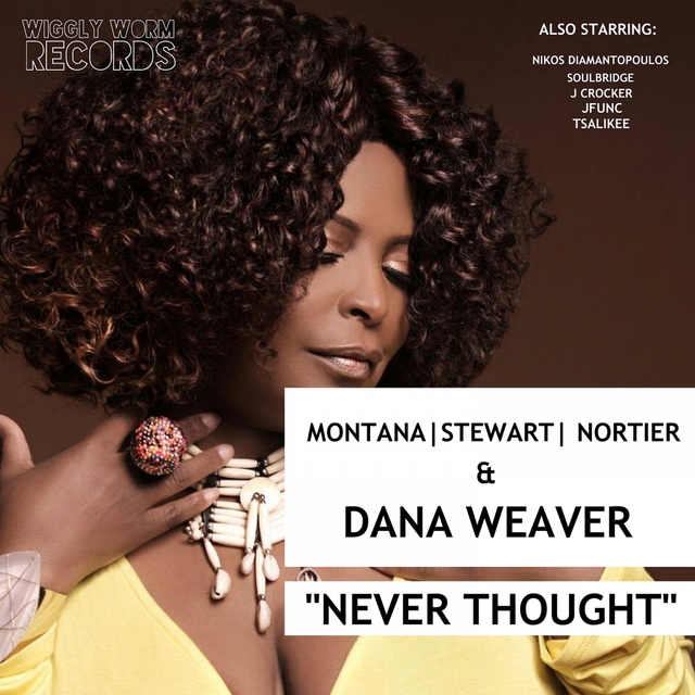 Couverture de Never Thought