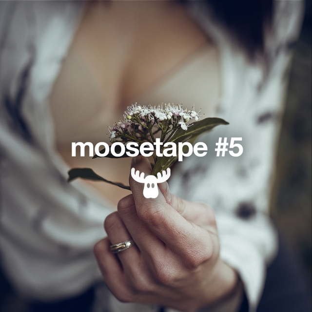 Couverture de Moosetape, Vol. 5