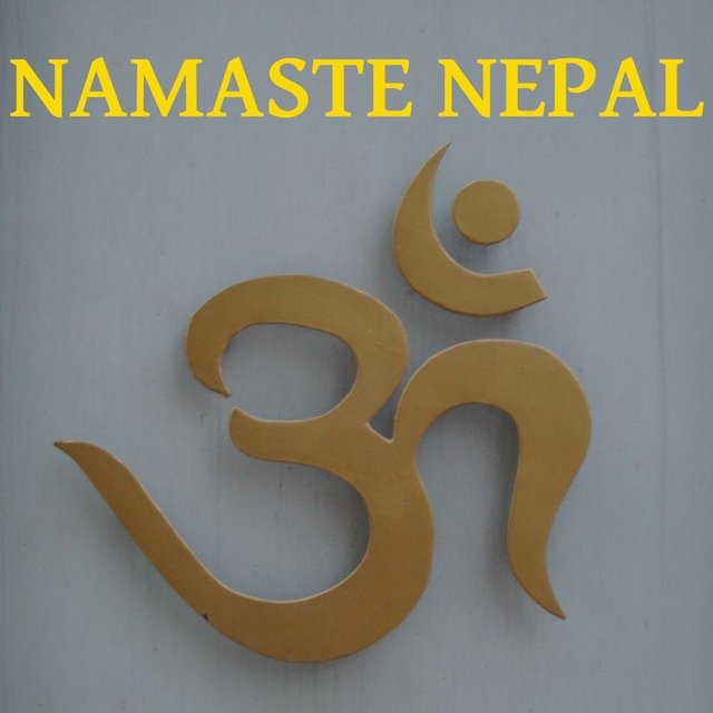 Couverture de Namaste Nepal