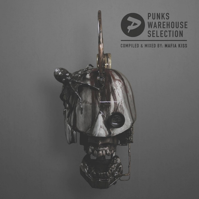 Couverture de Punks Warehouse Selection