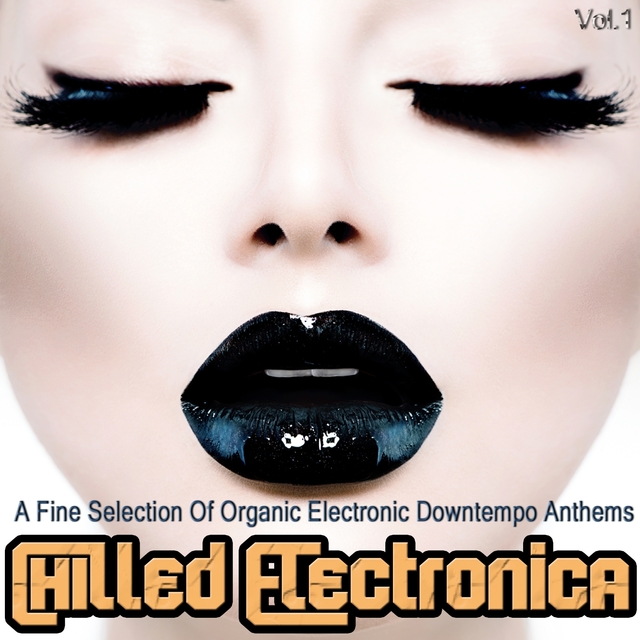 Couverture de Chilled Electronica, Vol. 1