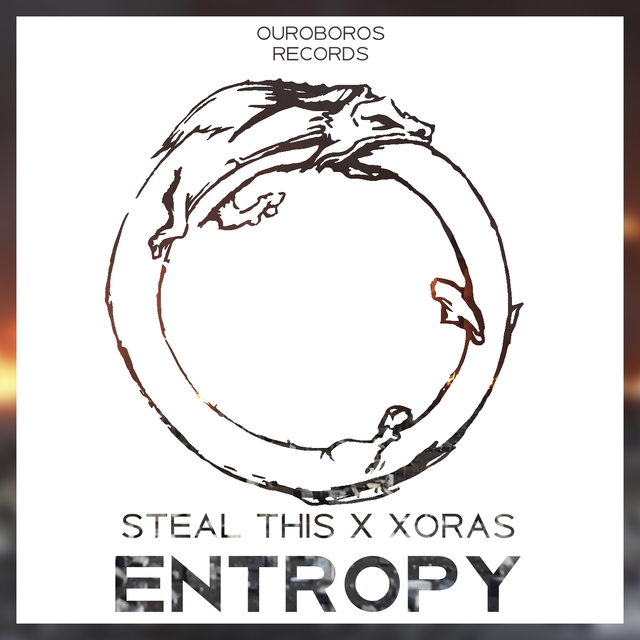 Entropy