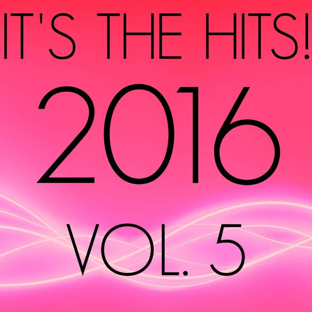 It's The Hits! 2016, Vol. 5