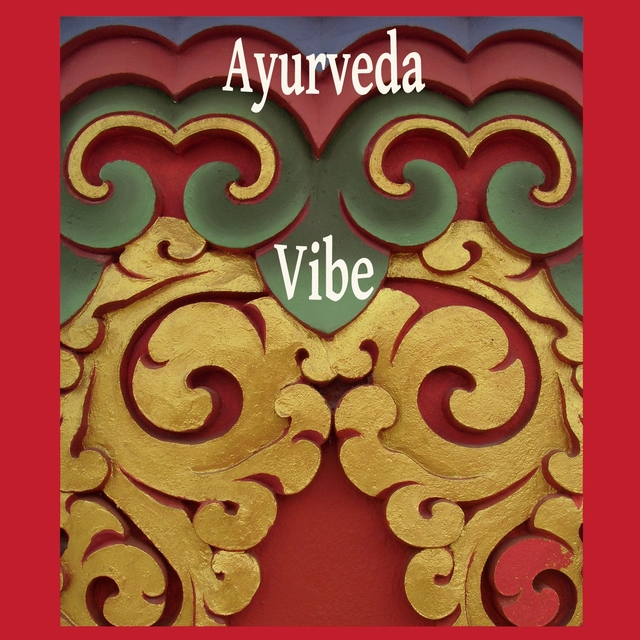 Couverture de Ayuveda Vibe