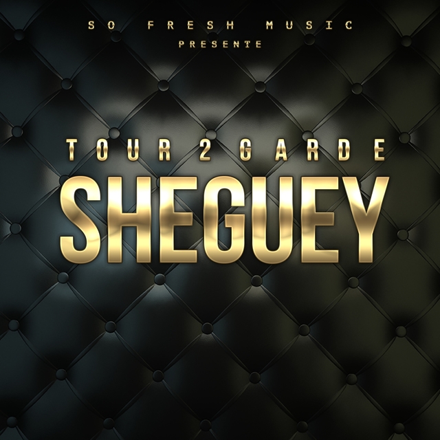 Couverture de Sheguey