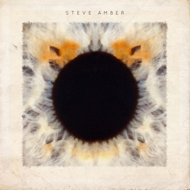 Couverture de STEVE AMBER