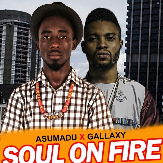 Couverture de Soul on Fire