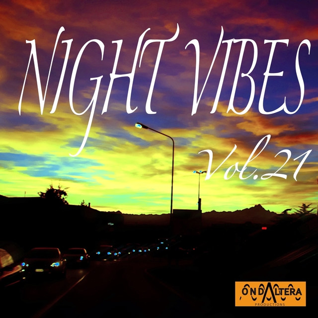 Couverture de Night Vibes, Vol. 21