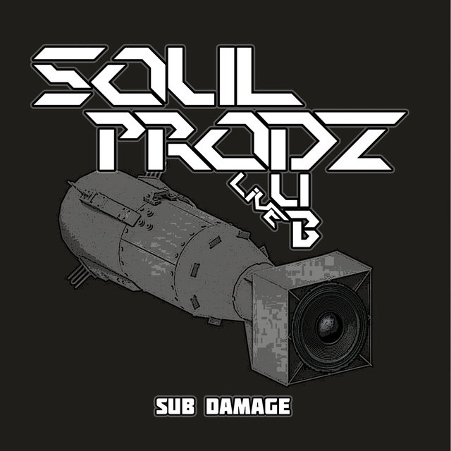 Couverture de Sub Damage