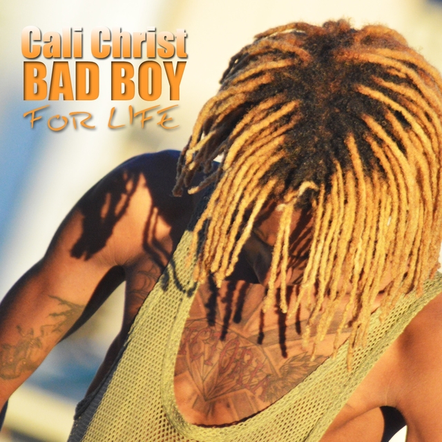 Couverture de Bad Boy for Life