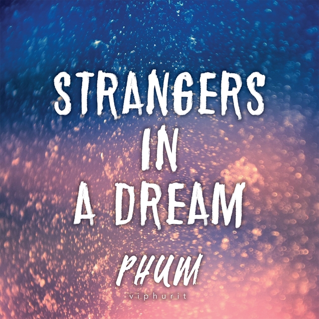 Couverture de Strangers in a Dream