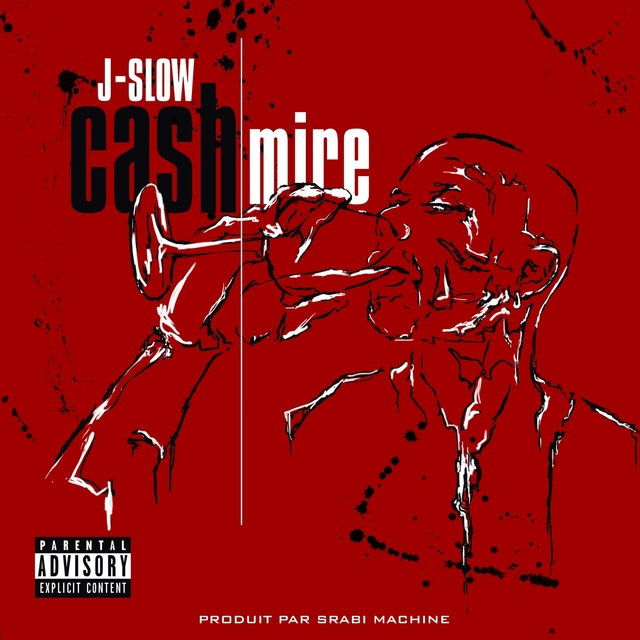 Couverture de Cash mire