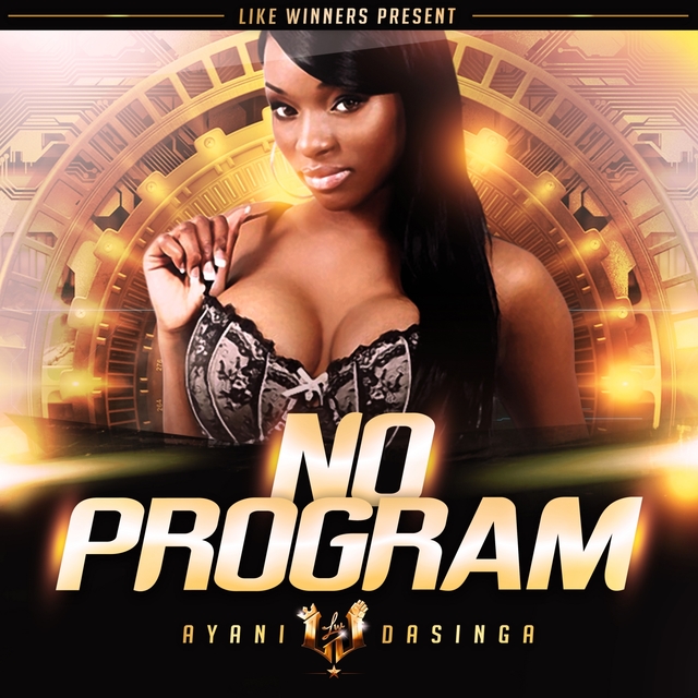 No Program