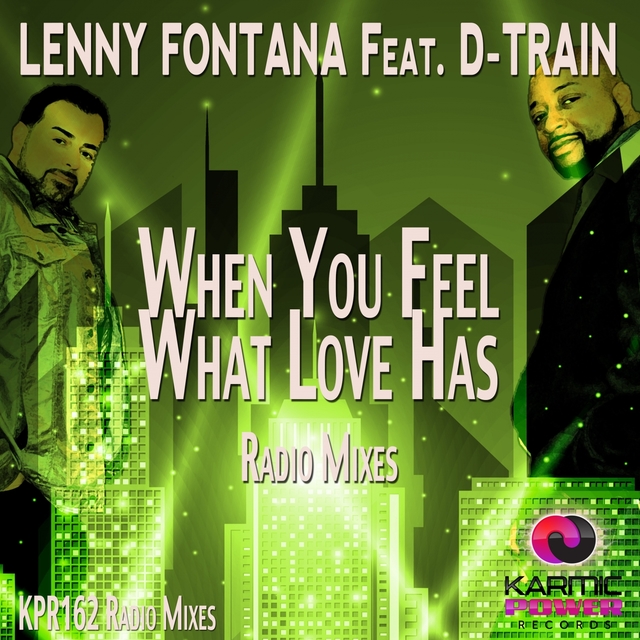 Couverture de When You Feel What Love Has