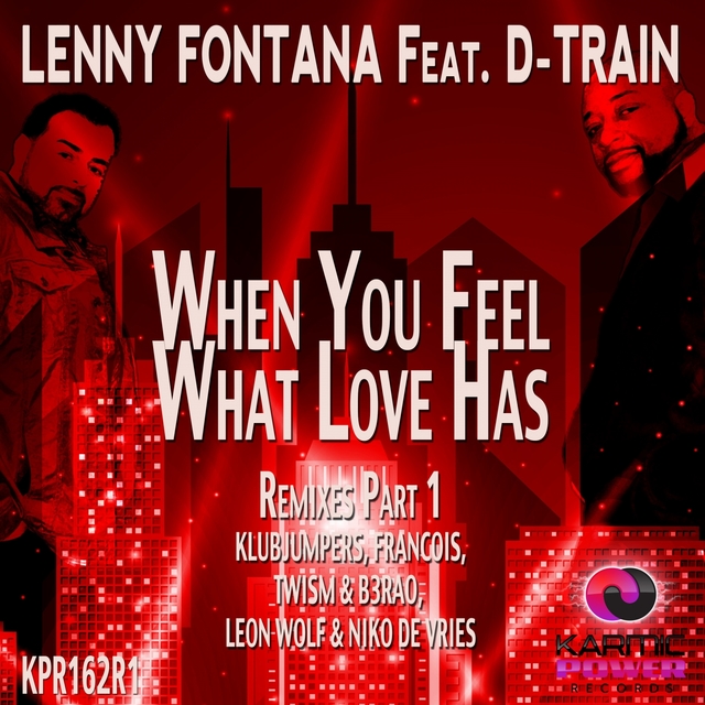 Couverture de When You Feel What Love Has