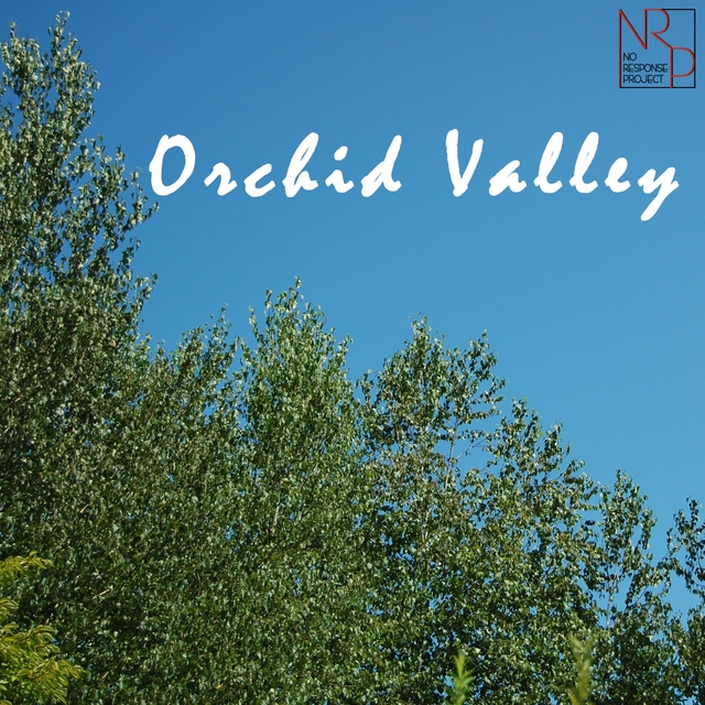 Couverture de Orchid Valley