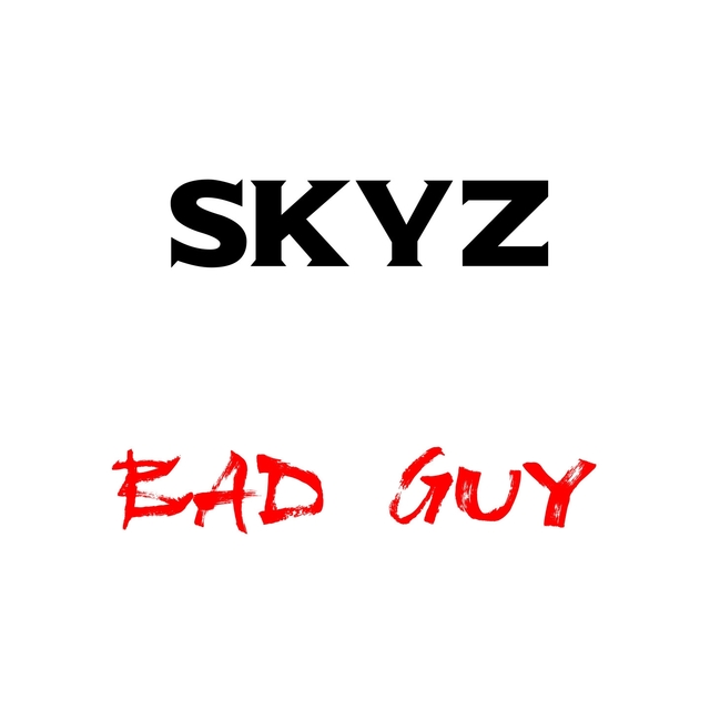 Couverture de Bad Guy