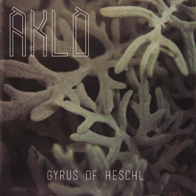 Gyrus of Heschl
