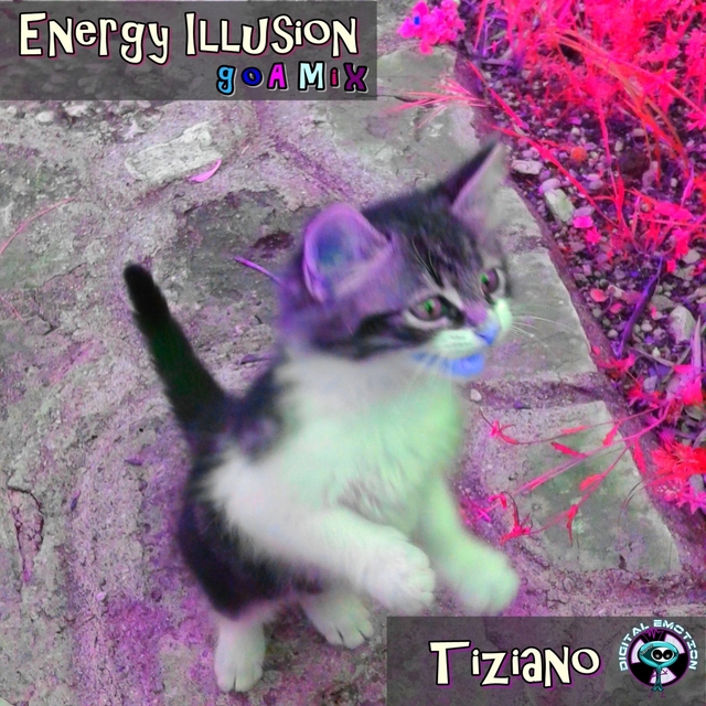 Couverture de Energy Illusion