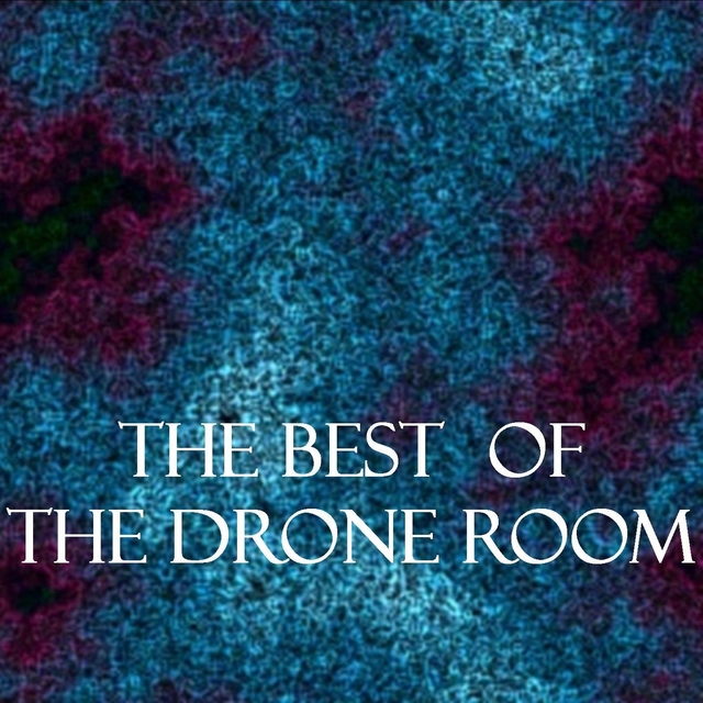 Couverture de The Best of the Drone Room