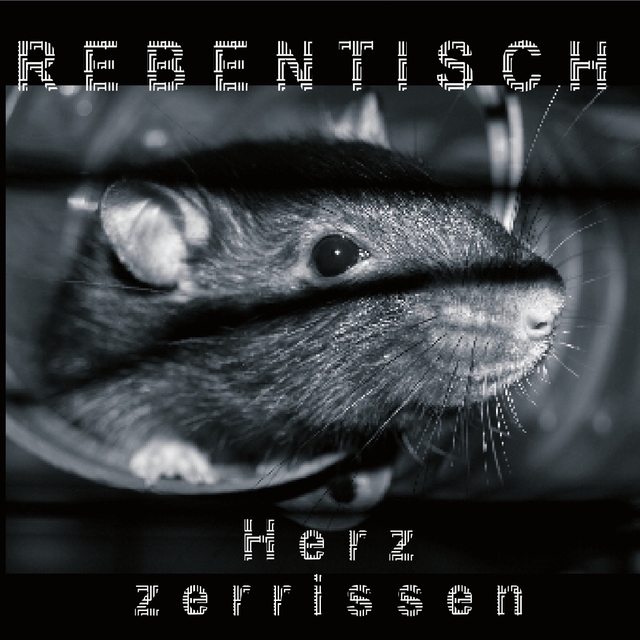 Couverture de Herz zerrissen