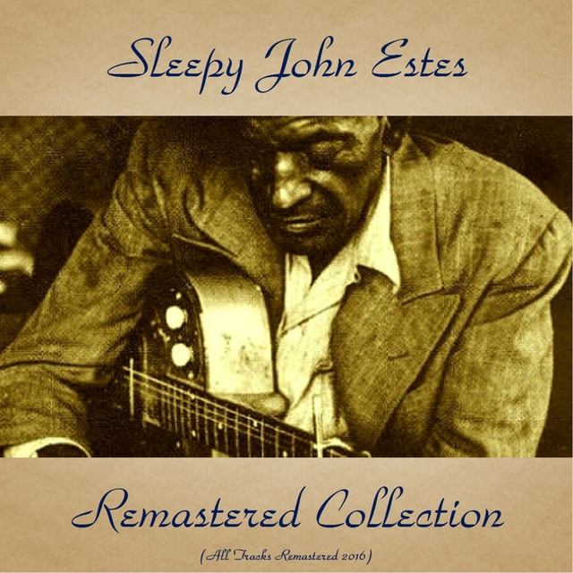 Sleepy John Estes Remastered Collection