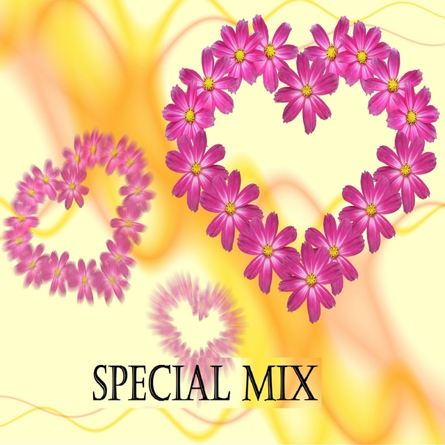 Special Mix