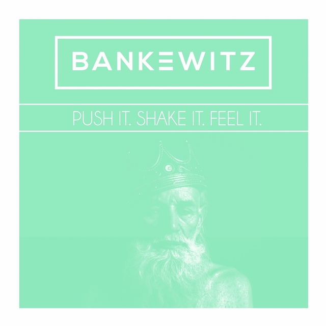 Couverture de Push It Shake It Feel It