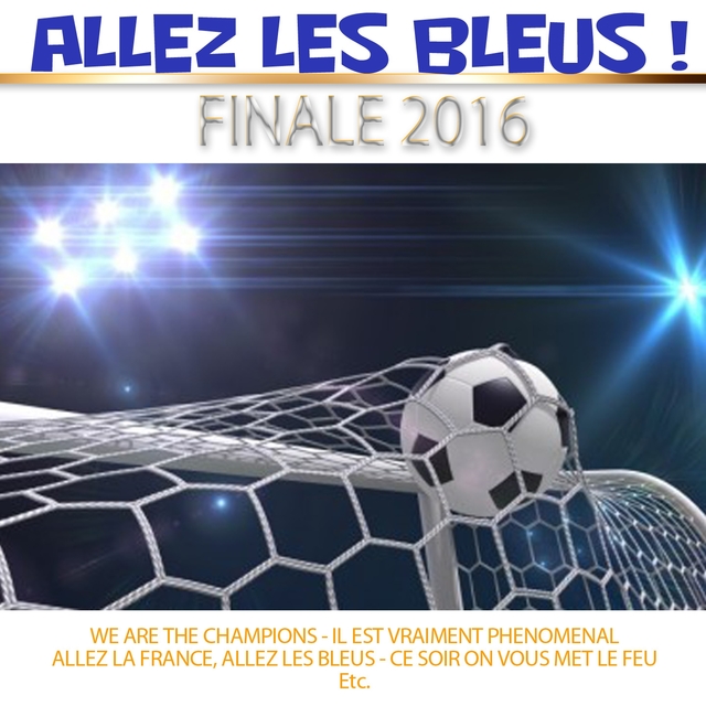 Couverture de Allez les bleus!