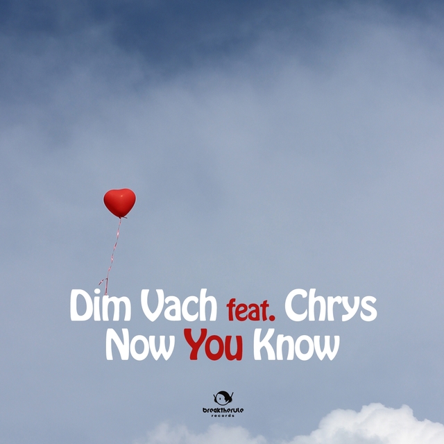 Couverture de Now You Know