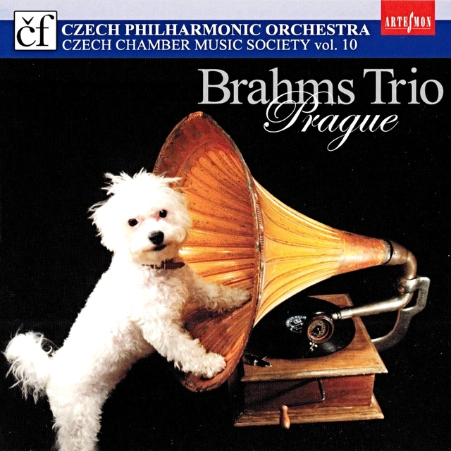 Brahms Trio Prague