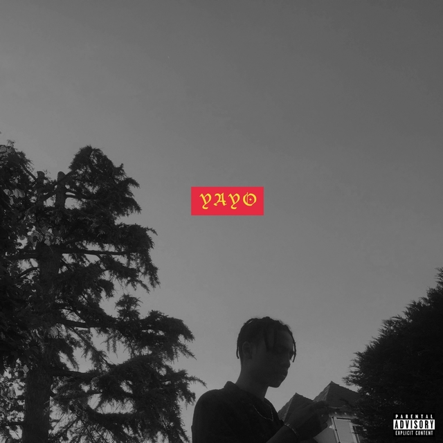 Couverture de Yayo