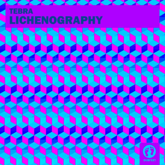 Lichenography