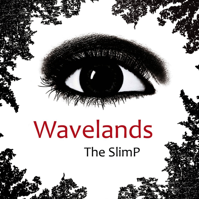 Couverture de Wavelands