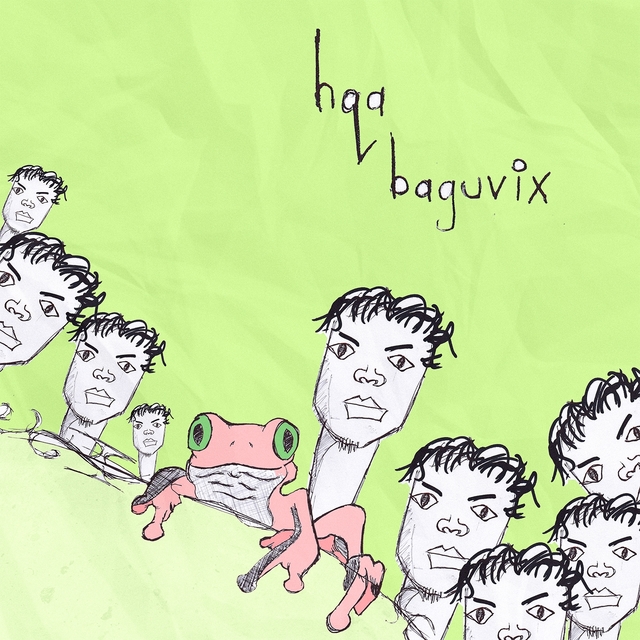 Couverture de Baguvix