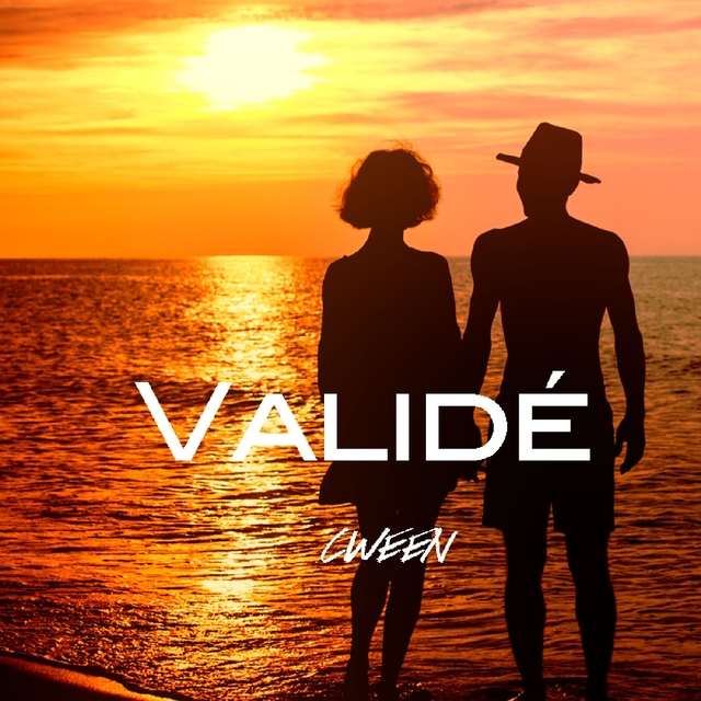 Couverture de Validé