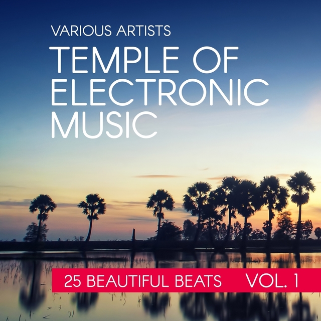 Couverture de Temple Of Electronic Music (25 Beautiful Beats), Vol. 1