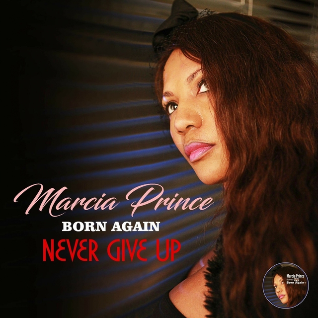 Couverture de Never Give Up