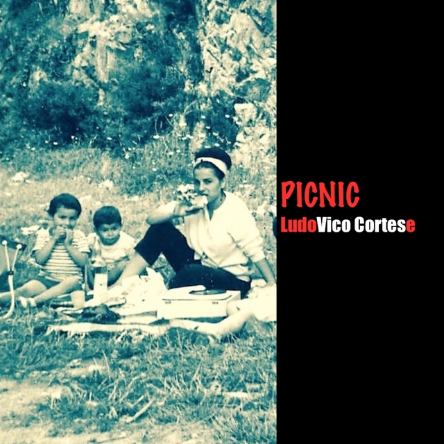 Couverture de Picnic