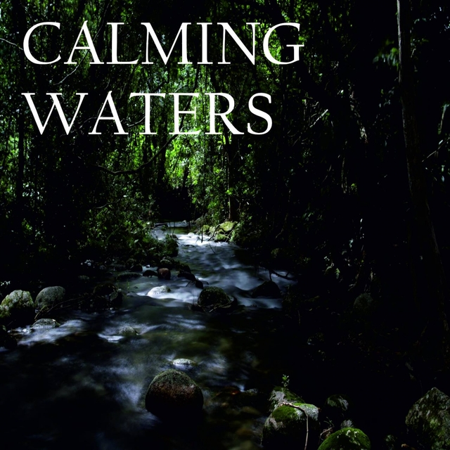 Calming Waters