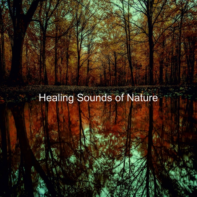 Couverture de Healing Sounds of Nature