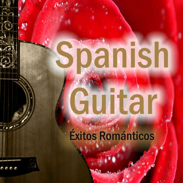 Spanish Guitar