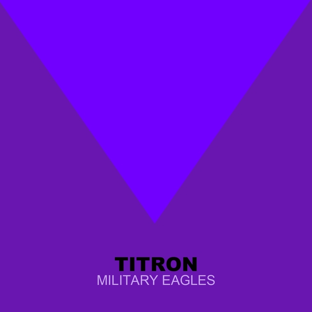 Military Eagles
